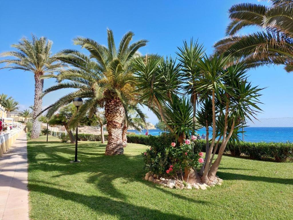 Alkabir Con Vistas Al Mar